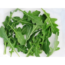 Yerli Roka Tohumu 10 GR Ort 3000 Ad Tohum N114514