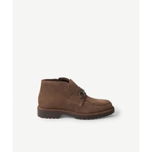 Vizon