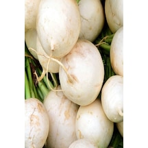Beyaz Turp Tohumu 25 GR