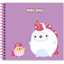 Molang 16 15 50 Yp. Çiz. Spiralli Sert Kapak Defter - Mor Çok Renkli