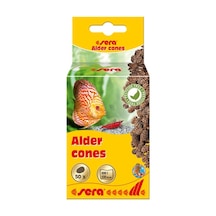 Sera Alder Cones (50 Adet) Kızılağaç Kozalağı