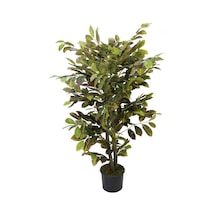 Yapay Kraton Ağacı 130 Cm Yeşil