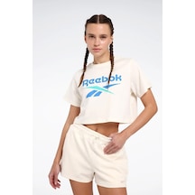 Reebok New Id Reg Crp Erkek Tişört Bej