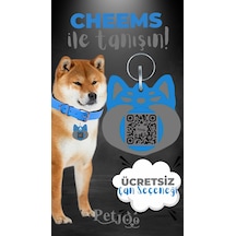 Petjoo 18.Cheems Gri-Mavi Qr'lı Köpek Künyesi