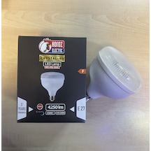 40w Horoz Kristal Ampul
