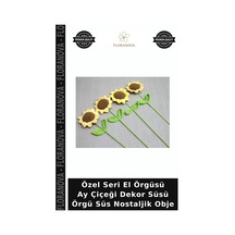 Çok Renkli