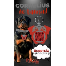 Petjoo 20.Cornelius Kırmızı-Gri Qr'lı Köpek Künyesi