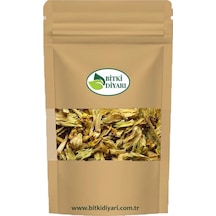 Çuha Çiçeği Primula Acaulis 100gr