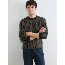 Lcwaıkıkı Classic Kahverengi Erkek Desenli Regular Fit Triko Kazak