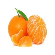 Tüplü Parlak Meyveli Fremont Mandalina Fidanı