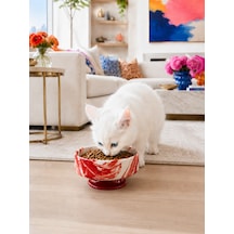 Mama Kabı Kedi Ve Köpek 1 Adet Doğal Mama Veya Su Kabı Kırmızı Marble