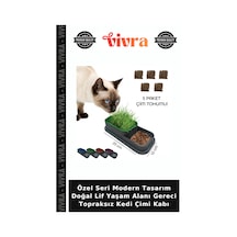 Özel Seri Modern Tasarım Doğal Lif Yaşam Alanı Gereci Topraksız Kedi Çimi Kabı