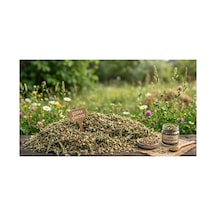 Çoban Çantası Capsella Bursa-pastoris 50 Gram - 937775718