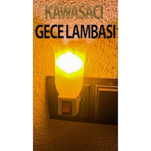 Sarı