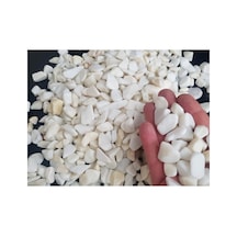 Beyaz Dolomit Taş 500 Gr 1-2 Cm Dere Çakıl Taşı Saksı Taşı Akvaryum Teraryum Taşı Bahçe Taşı No.2m