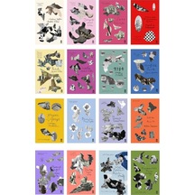 Tasarım Ödüllü Dünya Edebiyatı Klasikleri 16 Kitap