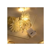 Herşeytrend 2m Pilli Peri Led Beyaz Işık Çok Renkli
