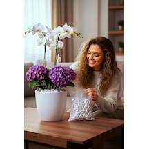 5 Kg Doğal Beyaz Dolomit Taşı 2-4 Cm Saksı Üstü Dekoratif Taş, Sukulent & Kaktüs Taşı
