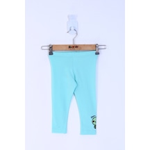 Mint Yeşili