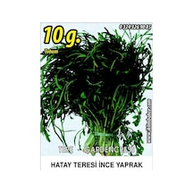 Tere Tohumu İnce Tel 10 G