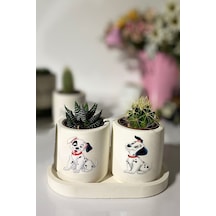 Tabaklı Dalmaçya Baskılı Mini Saksı Seti Hediyelik Dekoratif