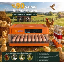 Tam Otomatik Kuluçka Makinesi 130 Yumurta Kapasiteli Akıllı Isı Ve Nem Kontrolü Otomatik Yumurta
