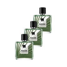 Avon Musk Metropolitano Erkek Parfüm EDT 3 x 75 ML