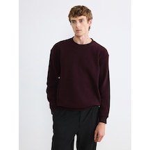 Lcw Vision Kahverengi Bisiklet Yaka Kalın Kumaş Erkek Sweatshirt