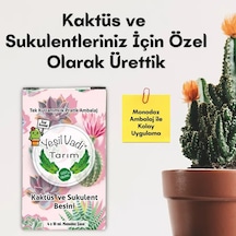 Kaktüs Sukulent Besini Monodoz 4x10ml 40