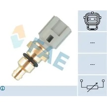 Fae 33736 Hararet Musiri 1089854 Xs6f12a648ba