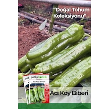 80 Adet Ata Tohumu Acı Köy Biberi
