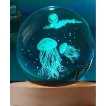 Dekoratif Deniz Anası Tasarımlı Ahşap Altlıklı Işıklı Cam Küre Cam:6cm Ahşap:2cm