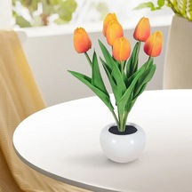 Lemestar Bitki Ve Bonsai Tasarımlı Enerji Tasarruflu Gece Lambası, Mekanik Anahtarlı, 3v Güç Kaynağı Sarı