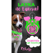 Petjoo 22.Layka Pembe-Yeşil Qr'lı Köpek Künyesi