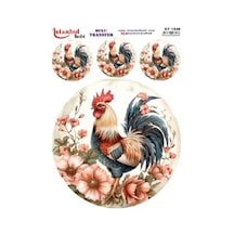 Sulu Transfer Kağıdı 25x35cm St-1349