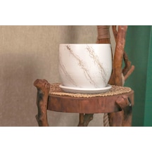Bitki Tasarımı Beyaz Üzeri Gold Tabaklı Terracota Toprak Saksı Saksılık Salon Çiçeklik 19 Cm