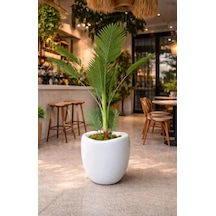 Plastik Modern Saksı, İç Ve Dış Mekan, 42x45 Cm, Beyaz, Yuvarlak, 25.5 L