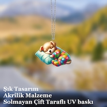 Araba Ayna Süsü, Araba Süsü, Çanta Aksesuarı - Bebek Köpek - Pleksi Malzeme, Uv Baskılı - 028 8x6 Cm