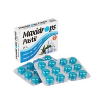 Maxidrops Pastil Nane Mentol 24'lü