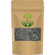 Yeşil Çay Camellia Sinensis Tomurcuk Ekstra 75 Gr