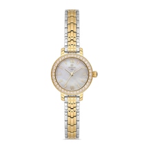Hislon Women's Classic Queen Ql195t-09sg Gri
