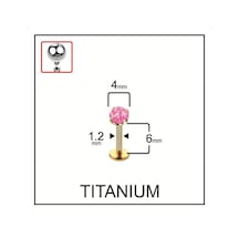 %100 G23 Titanyum Titanyum Altın Pembe Opal Taşlı Kıkırdak Tragus Labret Piercing Kahverengi