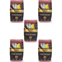 Gold Wings Premium Yavru Muhabbet Kuşu Yemi 1 KG x 5 Adet