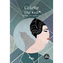 Dişi Kedi - Kyut-762948