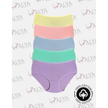 Alya Underwear %100 Pamuk Kumaşlı, Büyük Beden Yüksek Bel Kalp Desenli Ribana Jakar Kadın Külot Çok Renkli P15