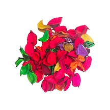 Südor Karışık Renkli Kabuk 25Gr