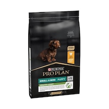 Pro Plan Tavuklu Küçük Irk Yavru Köpek Maması 7kg