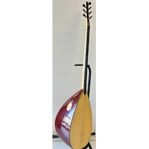 Profesyonel  Uzun Sap Ardıç Bağlama