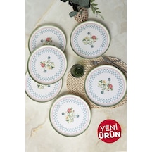 Çok Renkli