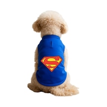 Kedi Ve Köpek Kıyafeti & Elbisesi Saks Mavi Superman Atlet Xl